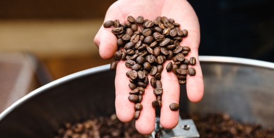 Honduras: Specialty Coffee’s Raw Diamond