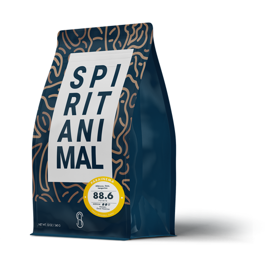 Honduran Cup of Excellence Parainema Coffee