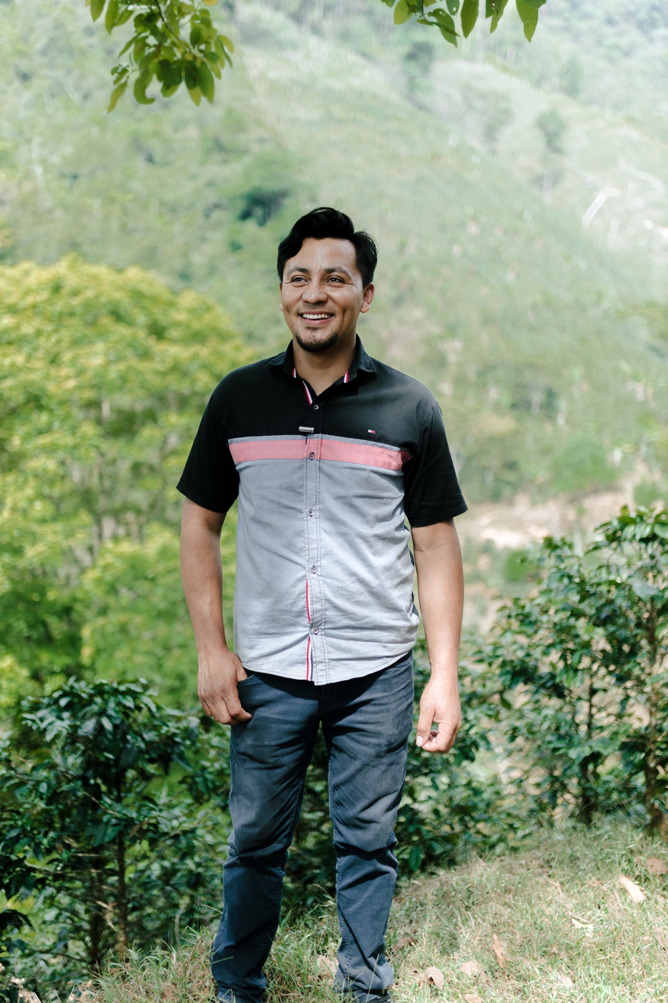 Cup of Excellence, 88.8 and 87.5 Profiles - Parainema Coffee Experience - 3 bags