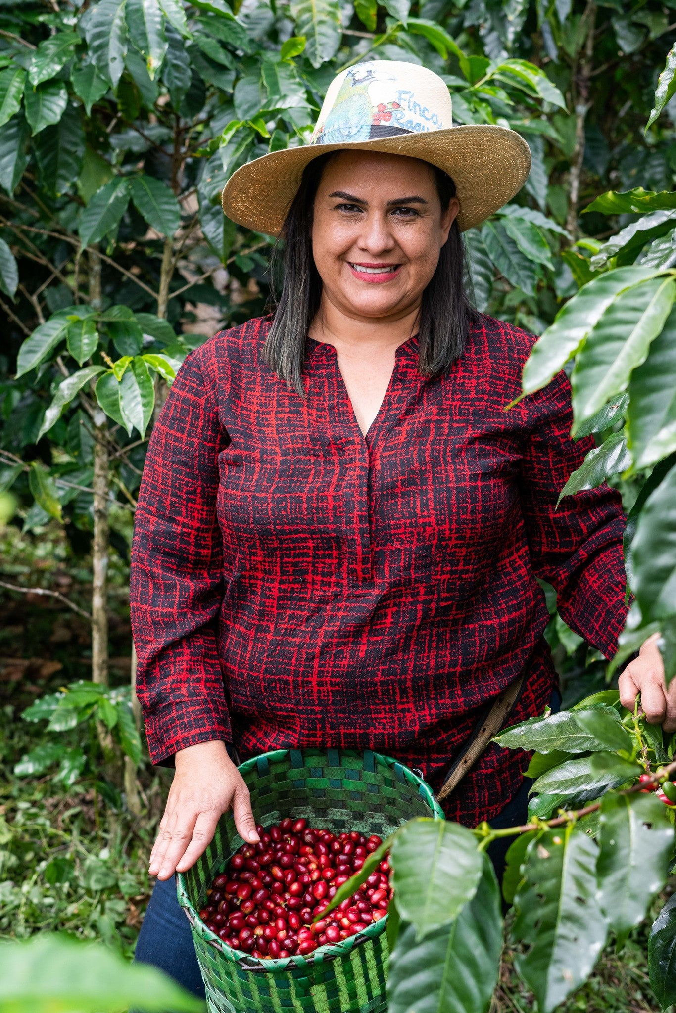 Honduran Parainema Coffee - 6-pack - 4.5lb