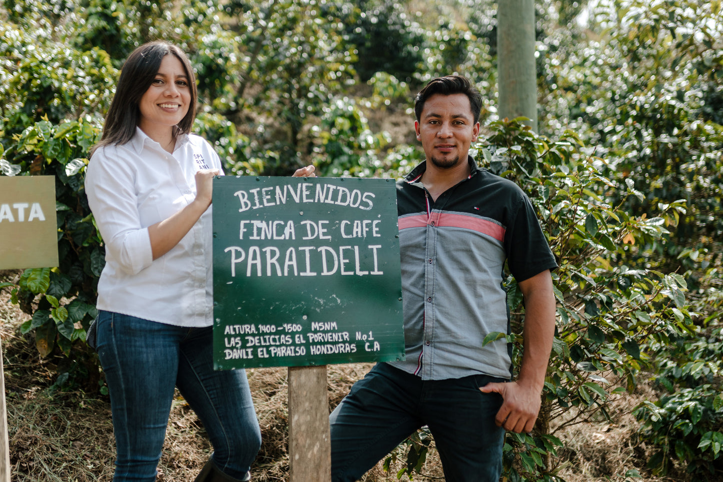 Cup of Excellence, 88.8 and 87.5 Profiles - Parainema Coffee Experience - 3 bags