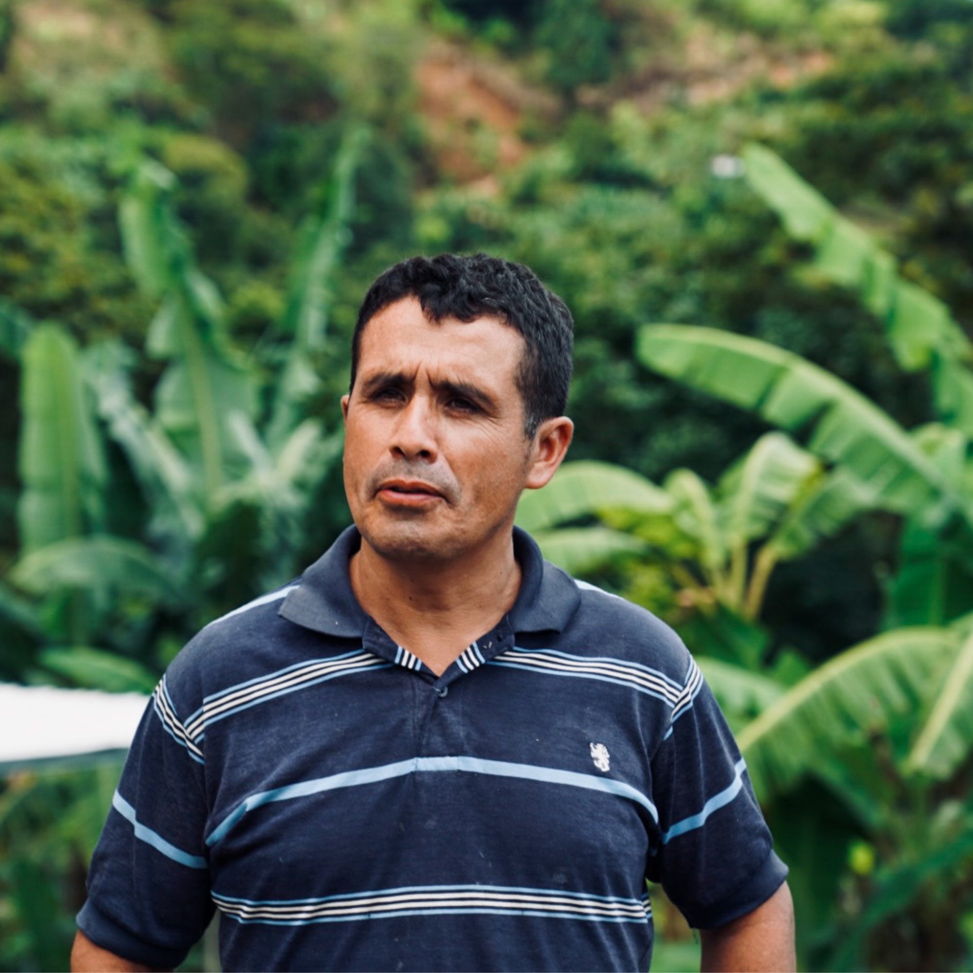 Nahun Fernandez, the producer and grower of our geisha coffee