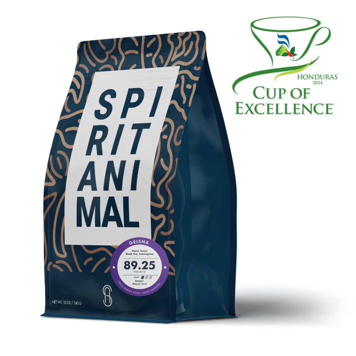 geisha 2024 cup of excellence winner 10