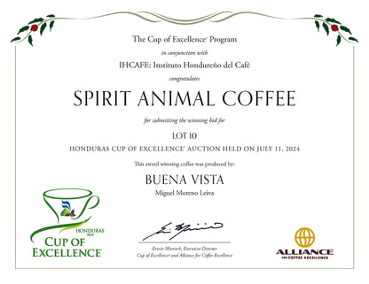 Geisha - Cup of Excellence Winner #10 - Extremely Rare Microlot (498 bags) - Pre-Sale